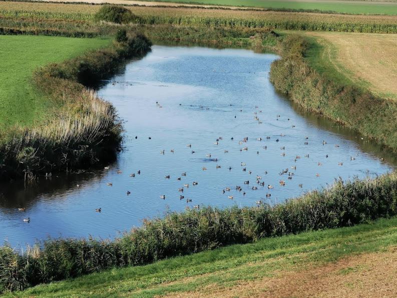 Liebevoll Eingerichtete Ferienwohnung Luettje Koje Dornum Esterno foto
